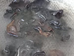 Soak the wood-ear ahead, wash it, boil 2-3 mi