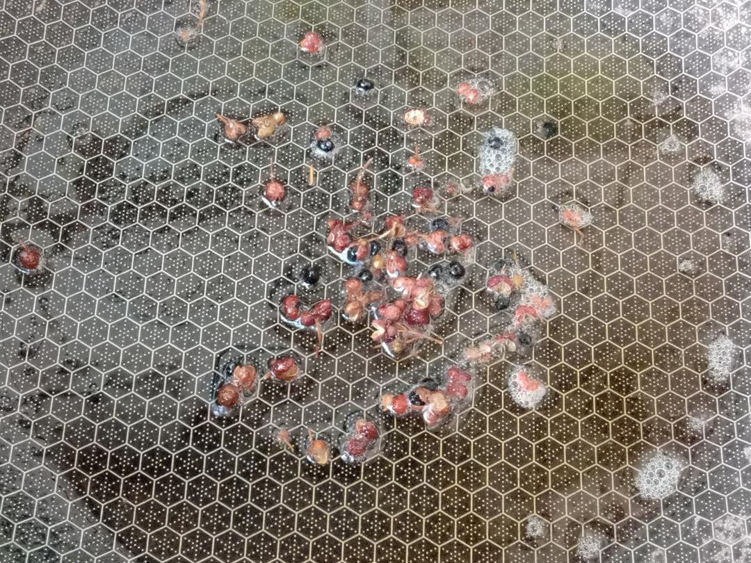 Heat the pan, bloom the Sichuan peppercorns i