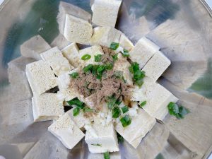 Scatter scallion and garlic over the tofu wit