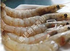 Buy about half a pound of fresh raw shrimp